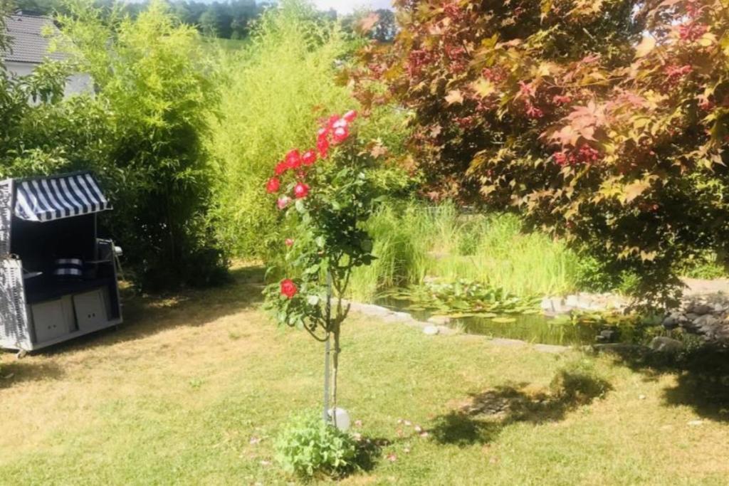 Modernes Ferienhaus Sauerblick Langsur Zewnętrze zdjęcie